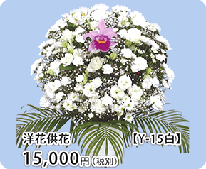 洋花供花 Y-15白