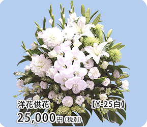 洋花供花 Y-25白