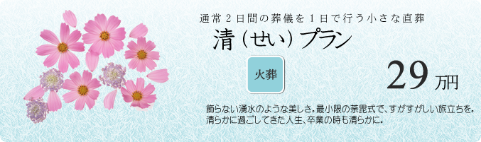 清プラン 29万円 基本のサービス
